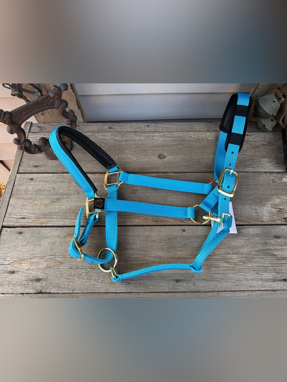 Horse Tack - NEW Teke Large Horse Padded Nylon Halter